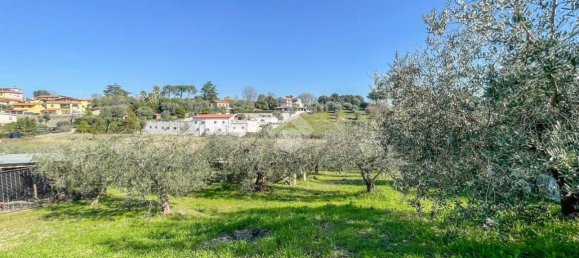 2000m² Land in Formello, Italy No. 154170 6