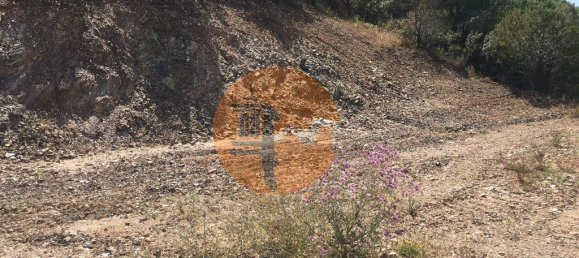 17640m² Land in Castro Marim, Portugal No. 65750 10