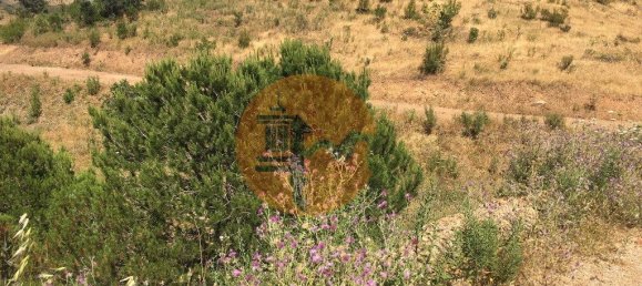 17640m² Land in Castro Marim, Portugal No. 65750 6