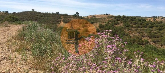 17640m² Land in Castro Marim, Portugal No. 65750 8