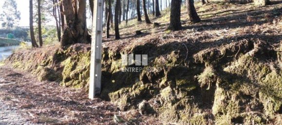 Земельный участок 10000м² в Марку ди Канавезиш, Португалия № 59567 5