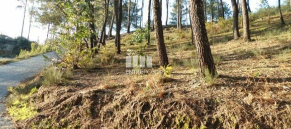 Земельный участок 10000м² в Марку ди Канавезиш, Португалия № 59567 7