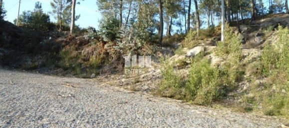 Земельный участок 10000м² в Марку ди Канавезиш, Португалия № 59567 3