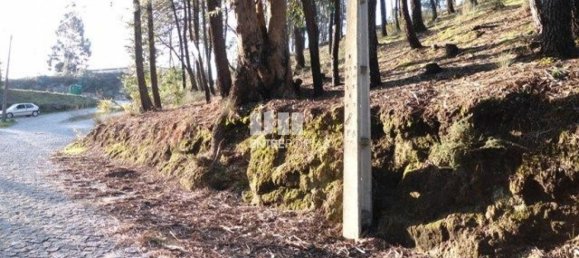 Земельный участок 10000м² в Марку ди Канавезиш, Португалия № 59567 6