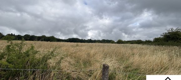 Terreno en Sarrebourg, France No. 305832 4