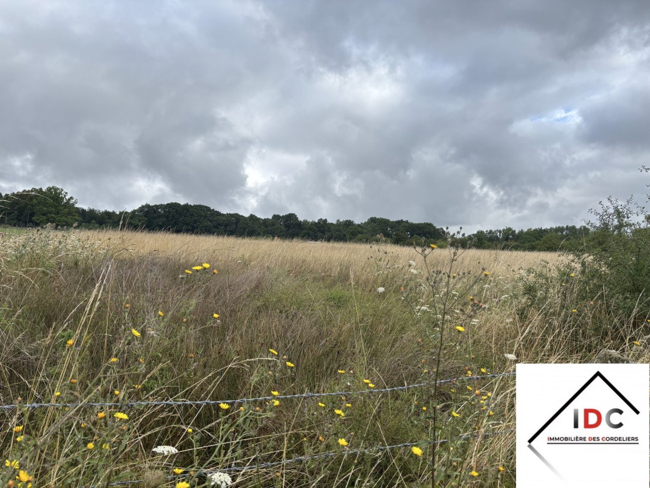 Terreno en Sarrebourg, France No. 305832