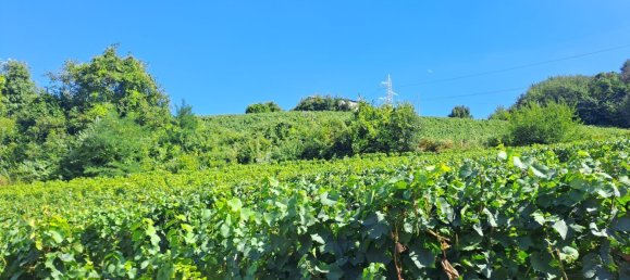 5-Zimmer Haus in Loazzolo, Italy, Nr. 278075 7