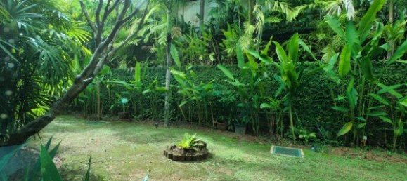 4 bedrooms Villa in Rawai, Thailand No. 12376 22