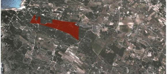 Land in Formentera, Spain No. 187207 3