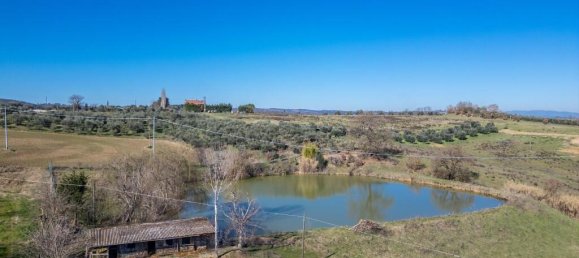 16 bedrooms Land in Torrita di Siena, Italy No. 167118 13