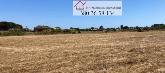 Земельный участок 9218м² в Неттуно, Италия № 209979 4