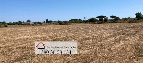 Земельный участок 9218м² в Неттуно, Италия № 209979 2