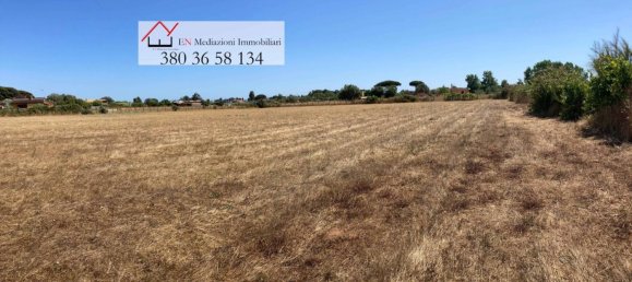 Земельный участок 9218м² в Неттуно, Италия № 209979 6