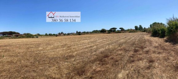 Земельный участок 9218м² в Неттуно, Италия № 209979 5