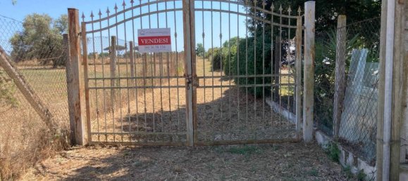 Земельный участок 9218м² в Неттуно, Италия № 209979 13