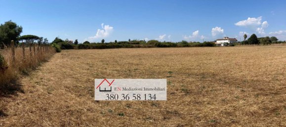 Земельный участок 9218м² в Неттуно, Италия № 209979 10