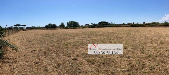 Земельный участок 9218м² в Неттуно, Италия № 209979 9