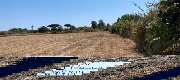 Земельный участок 9218м² в Неттуно, Италия № 209979 3
