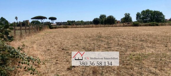 Земельный участок 9218м² в Неттуно, Италия № 209979 8