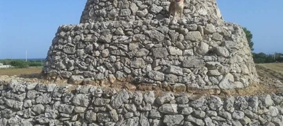 Villa de 5 divisões em Manduria, Italy N.º 254441 18