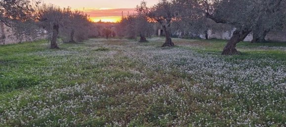 Villa de 4 dormitorios en Vittoria, Italy No. 338997 5