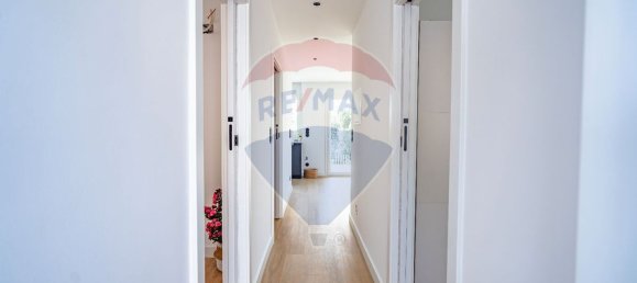 4 bedrooms House in Coimbra, Portugal No. 35962 7