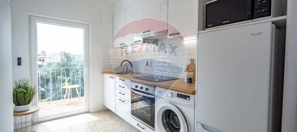 4 bedrooms House in Coimbra, Portugal No. 35962 19