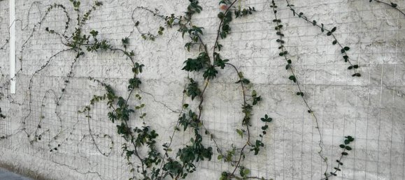 3-salle Appartement à Montecorvino Pugliano, Italy No. 29582 30