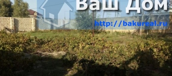 600m² Land in Surakhany, Azerbaijan No. 255 9