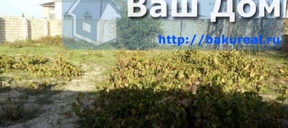 600m² Land in Surakhany, Azerbaijan No. 255 8