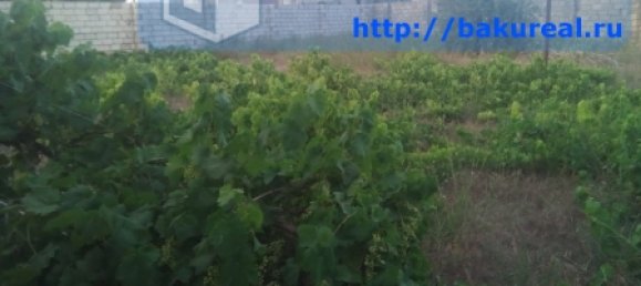 600m² Land in Surakhany, Azerbaijan No. 255 2