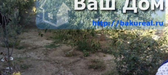 600m² Land in Surakhany, Azerbaijan No. 255 6