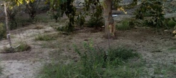 600m² Land in Surakhany, Azerbaijan No. 255 13