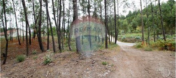 Terrain à Agilde, Portugal 2752m² No. 54939 4