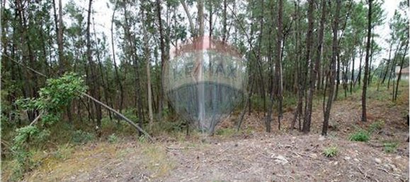 Terrain à Agilde, Portugal 2752m² No. 54939 2