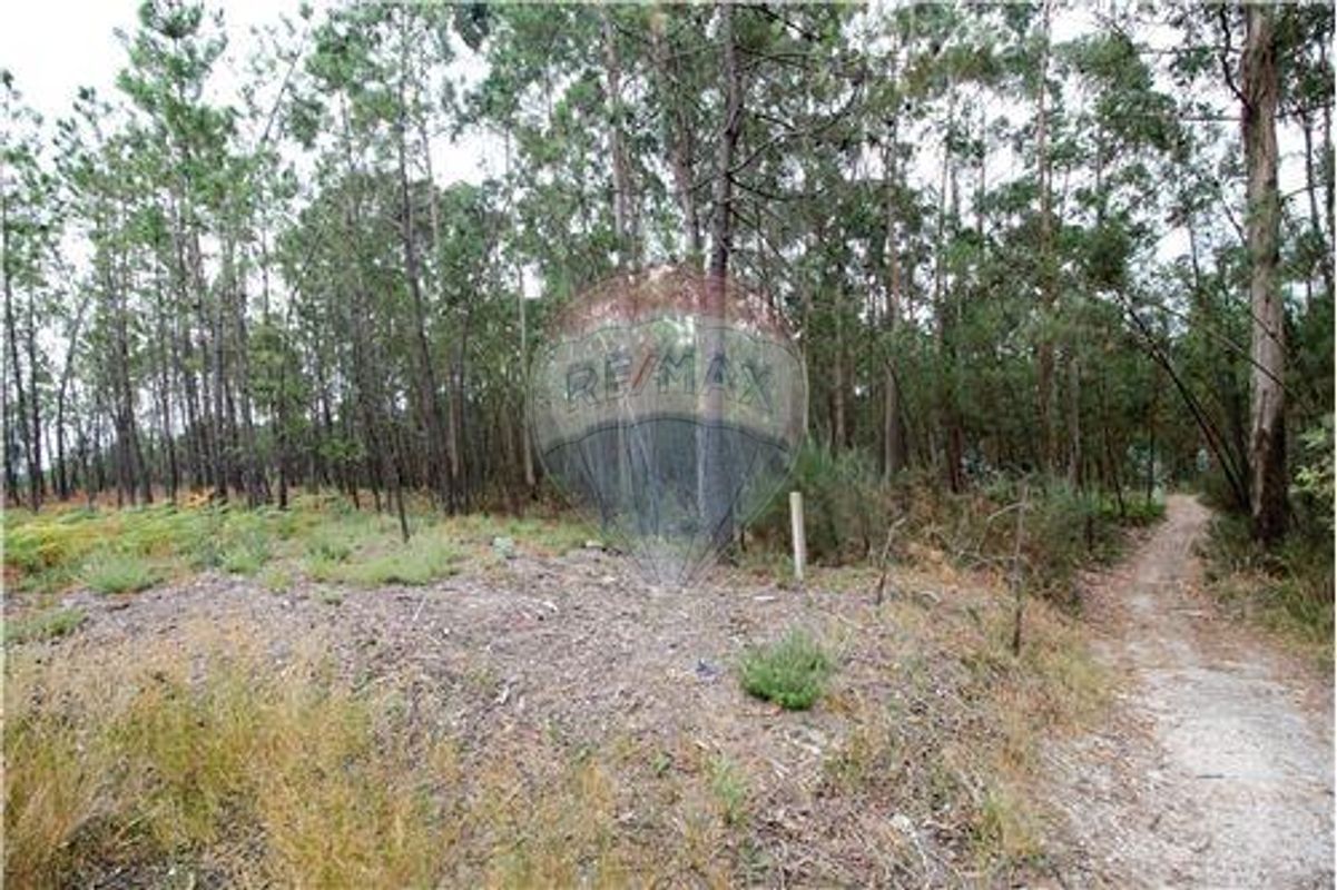 Terrain à Agilde, Portugal 2752m² No. 54939