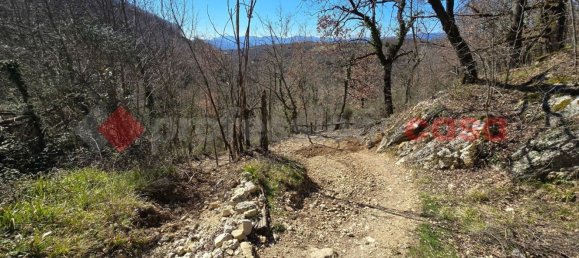 Terreno en Rieti, Italy 15000 m² No. 183101 11