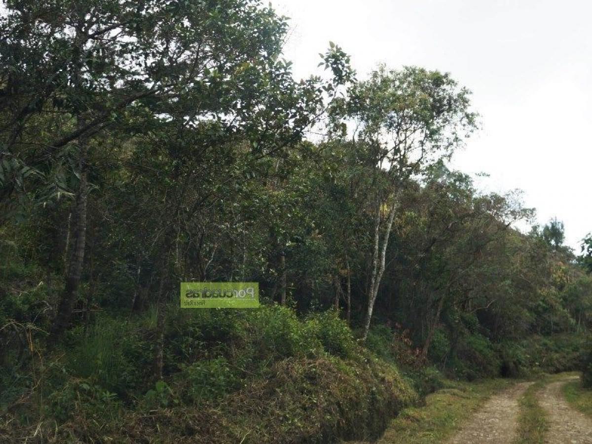  Land in Antioquia, Colombia No. 432