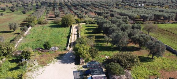 4غرفة منزل في Latiano, Italy رقم 223153 4