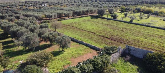 4غرفة منزل في Latiano, Italy رقم 223153 5