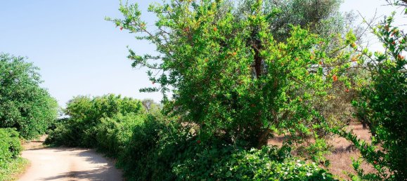 4غرفة منزل في Latiano, Italy رقم 223153 30