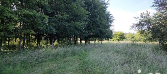 Casa T3 em Brienne-la-Vieille, France N.º 236429 22