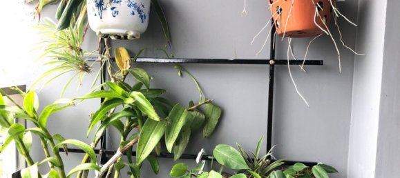 1 bedroom Apartment in Thu Duc, Vietnam No. 17026 3