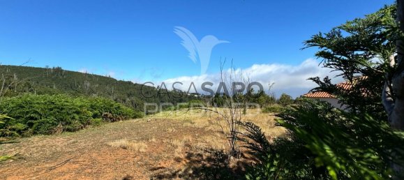  قطعة أرض في Calheta, Portugal رقم 111352 17