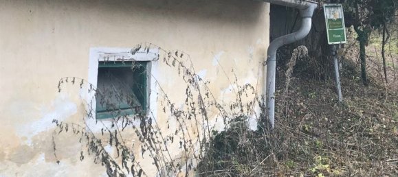 Terreno em Grossweikersdorf, Austria 8112 m² N.º 132852 8