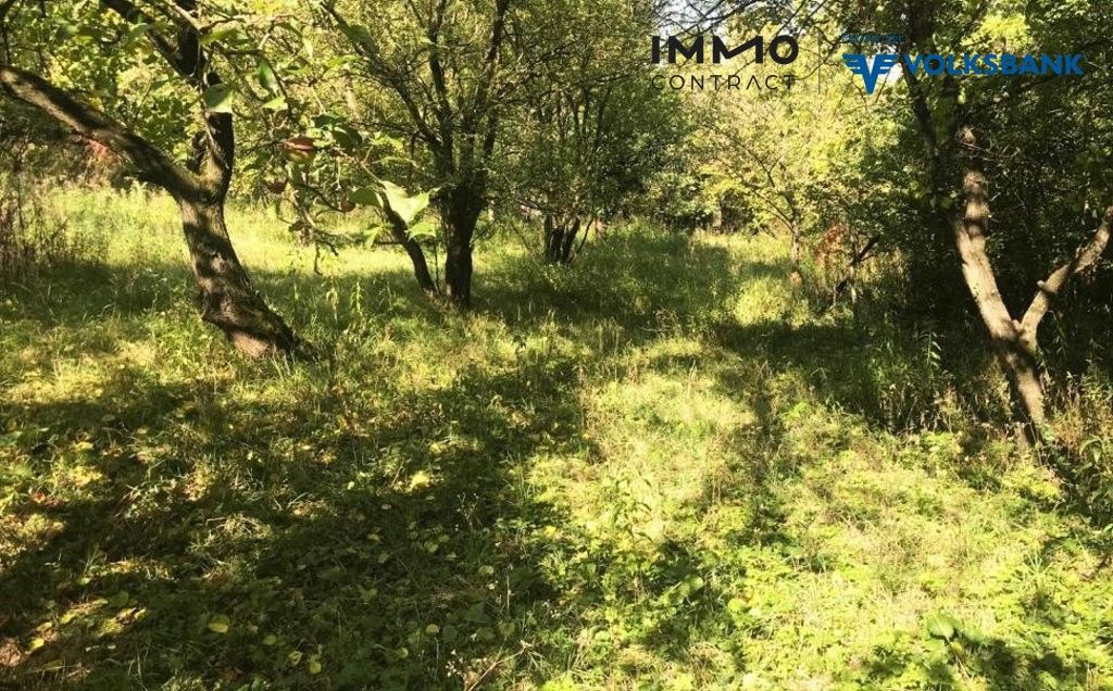 Terreno em Grossweikersdorf, Austria 8112 m² N.º 132852