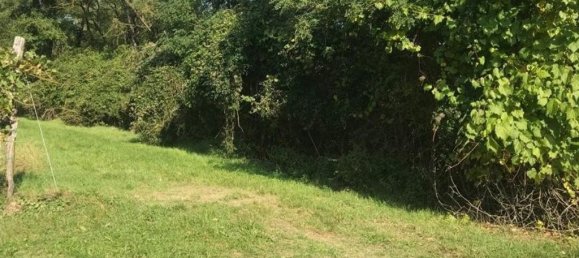 Terreno em Grossweikersdorf, Austria 8112 m² N.º 132852 4