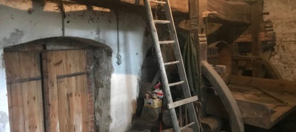 Terreno em Grossweikersdorf, Austria 8112 m² N.º 132852 11