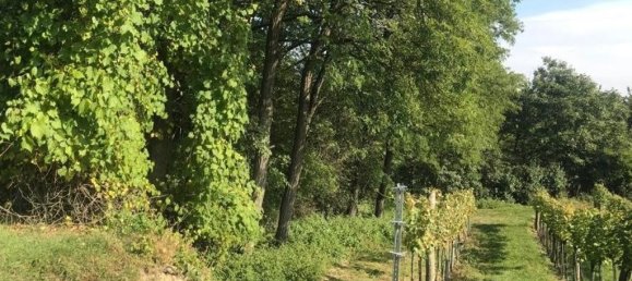 Terreno em Grossweikersdorf, Austria 8112 m² N.º 132852 3