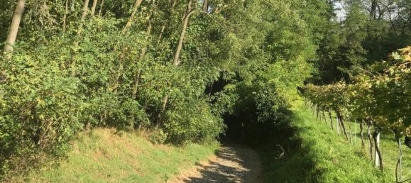 Terreno em Grossweikersdorf, Austria 8112 m² N.º 132852 5